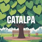 illustration catalpa feuilles fleurs banc ombre jardin